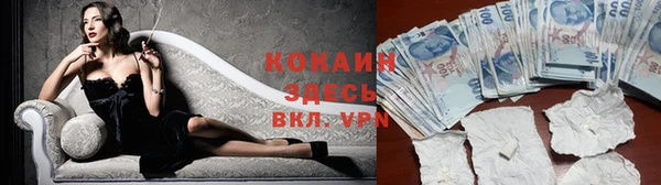 дмт Аркадак