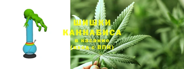 ГАЛЛЮЦИНОГЕННЫЕ ГРИБЫ Армянск