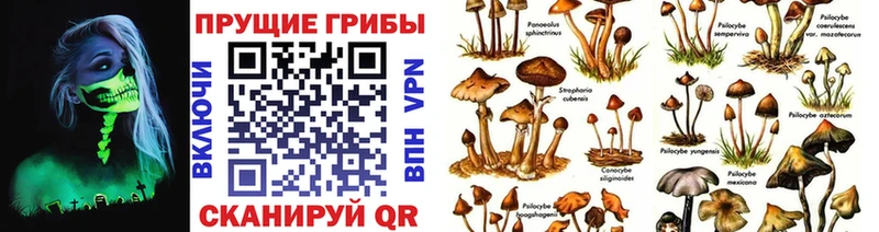 Псилоцибиновые грибы GOLDEN TEACHER  кракен вход  Бородино  что такое наркотик 